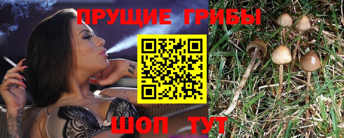 где купить наркоту  Вход с VPN  Южно-Сахалинск  Псилоцибиновые грибы мухоморы 
